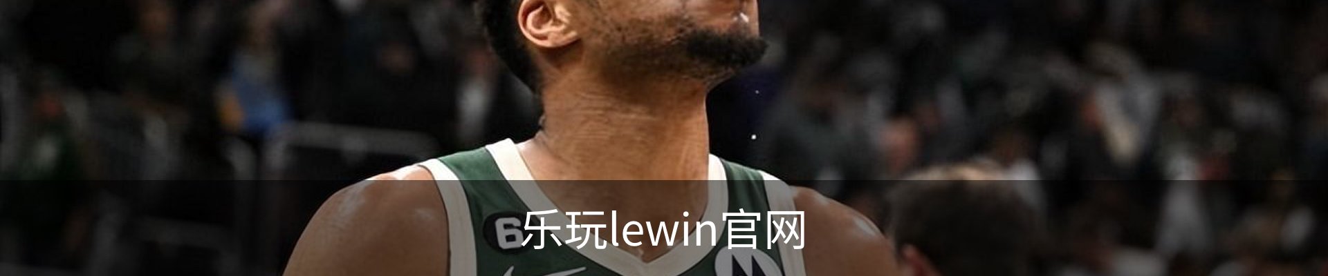 乐玩lewin官网